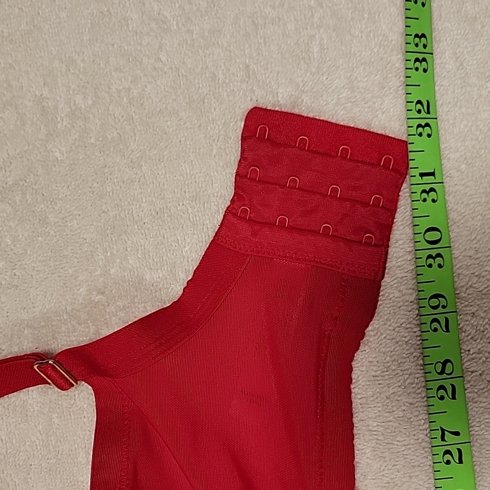 Elegant Red Lace Bra - Picture 2 of 12